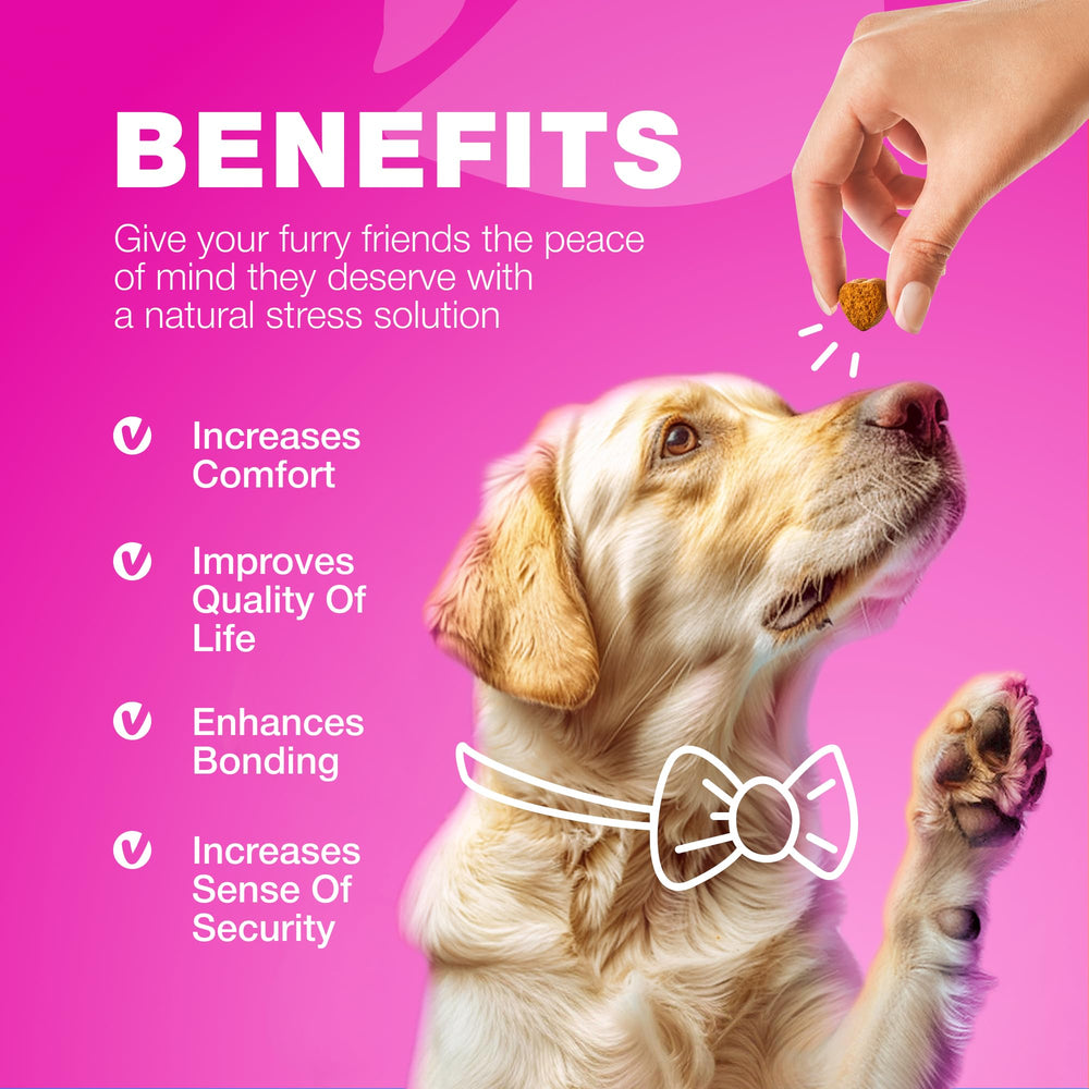 CHEWIA bladder-control chews on table suggest daily routine for healthier urination.