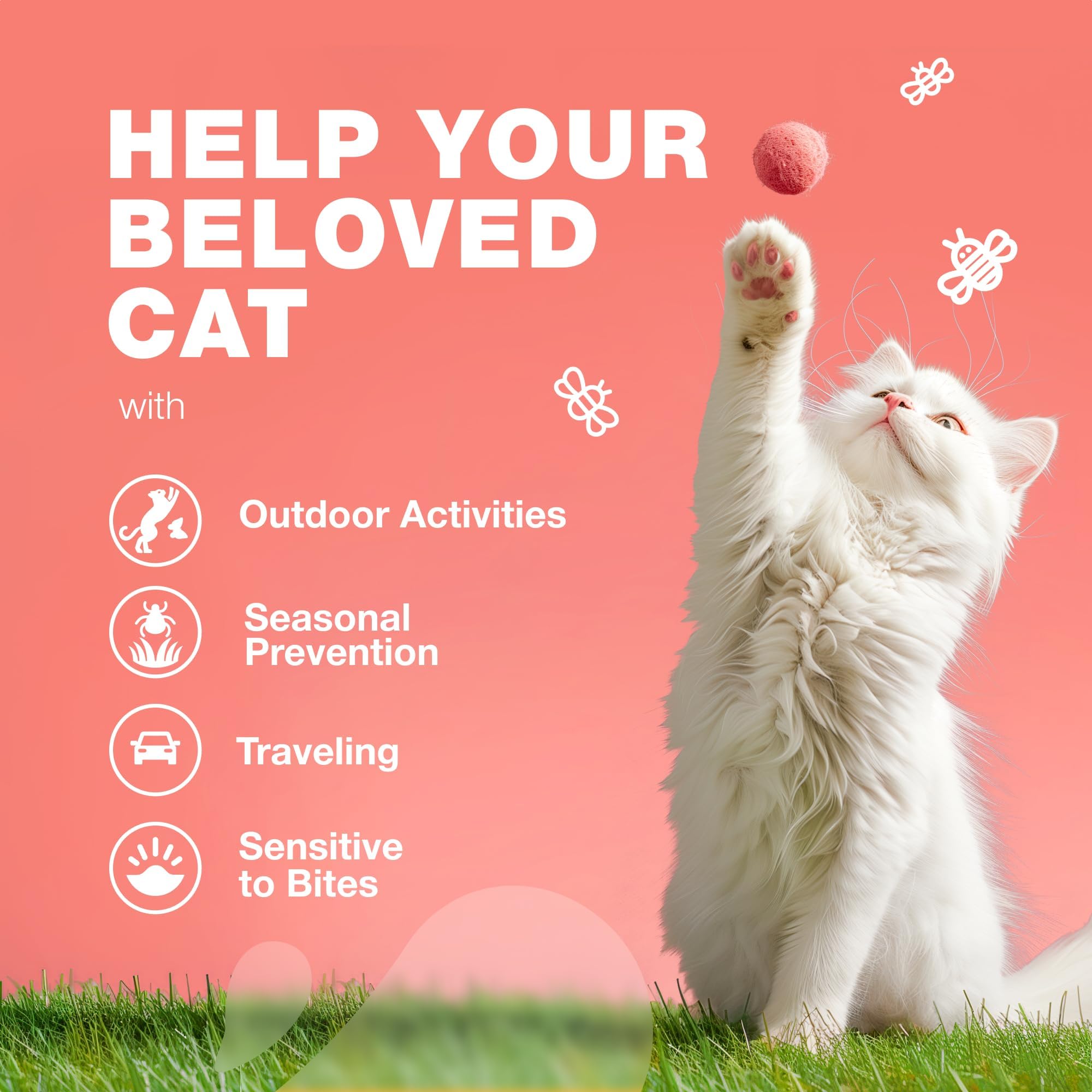 CHEWIA Cat Flea Treatment packaging front shows branding and clear dosing.