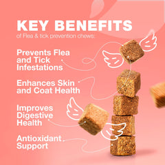 CHEWIA Chicken-flavor Flea Chews close-up highlights soft texture and tasty bite.