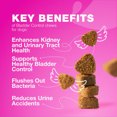 CHEWIA cranberry dog treats on floor demonstrate easy, tasty way to support urinary health.