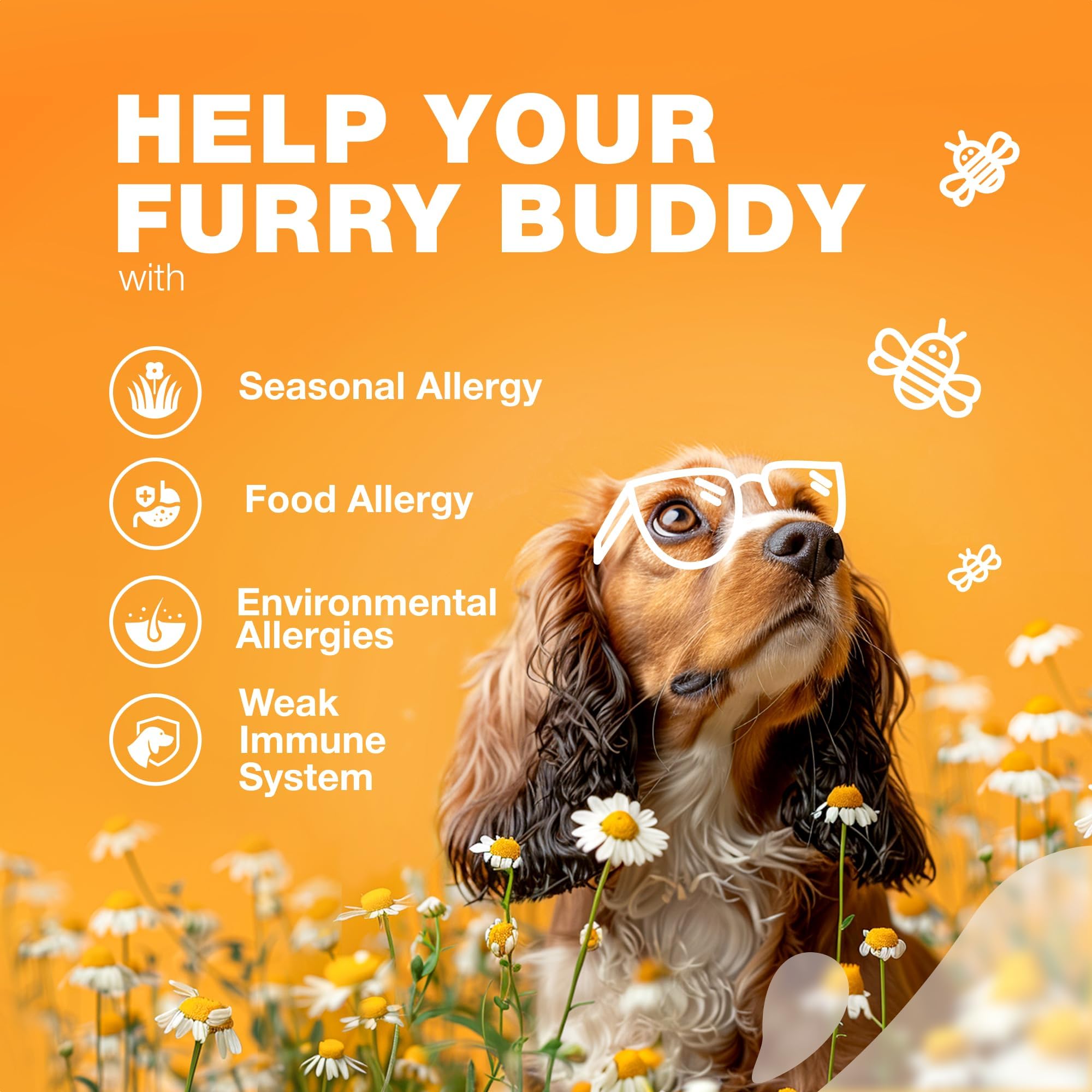 CHEWIA dog allergy chews hemp seed oil ingredient close-up highlights skin health support.