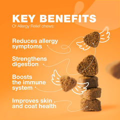 CHEWIA dog allergy chews half-dosed piece demonstrates easy daily dosing.