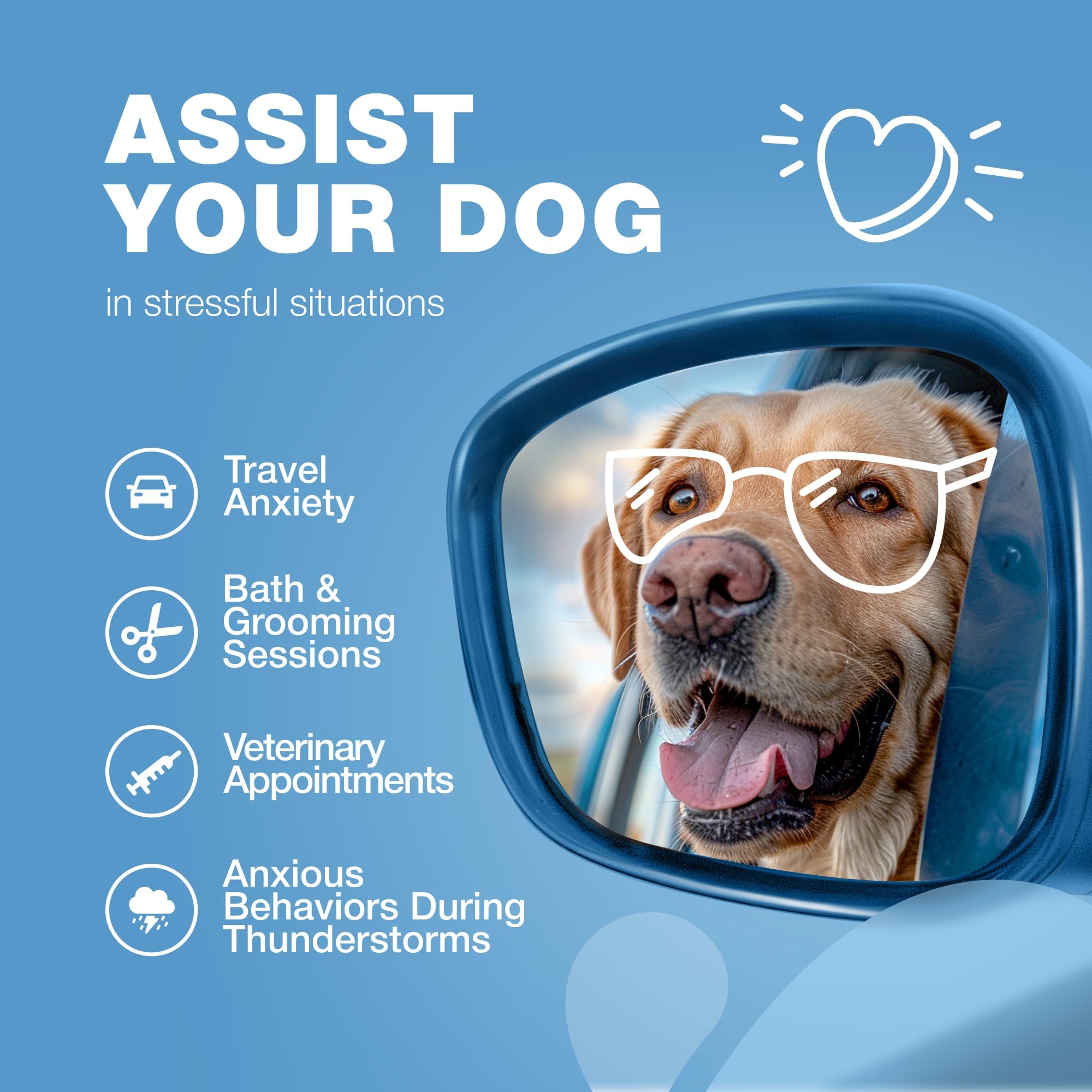 CHEWIA treats pictured during thunderstorm scene suggest storm noise tolerance.