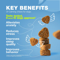 CHEWIA dog calming chews help dogs stay calm during vet or grooming visits.