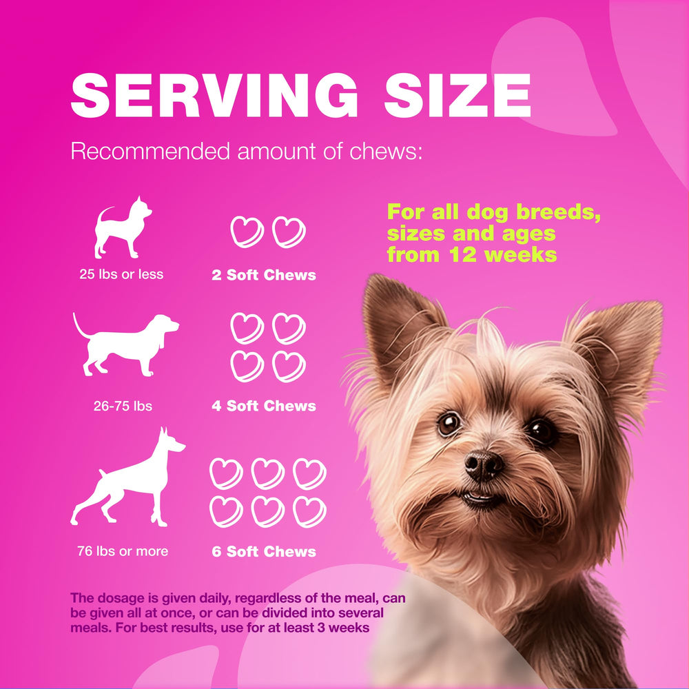 CHEWIA dog incontinence-treat close-up emphasizes bladder support and easy dosing.