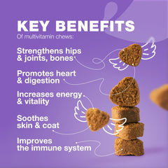 CHEWIA Dog Vitamins 15 in 1 chews-closeup highlights palatable multi-nutrient bite