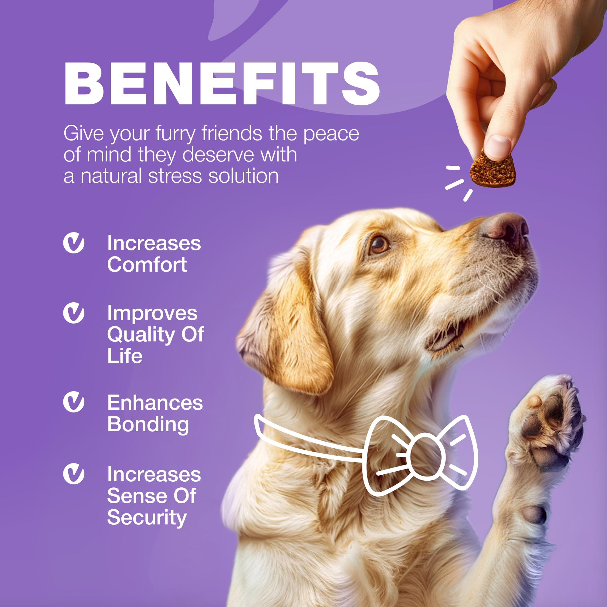 CHEWIA Dog Vitamins 15 in 1 msm-quercetin-closeup underscores premium ingredient mix