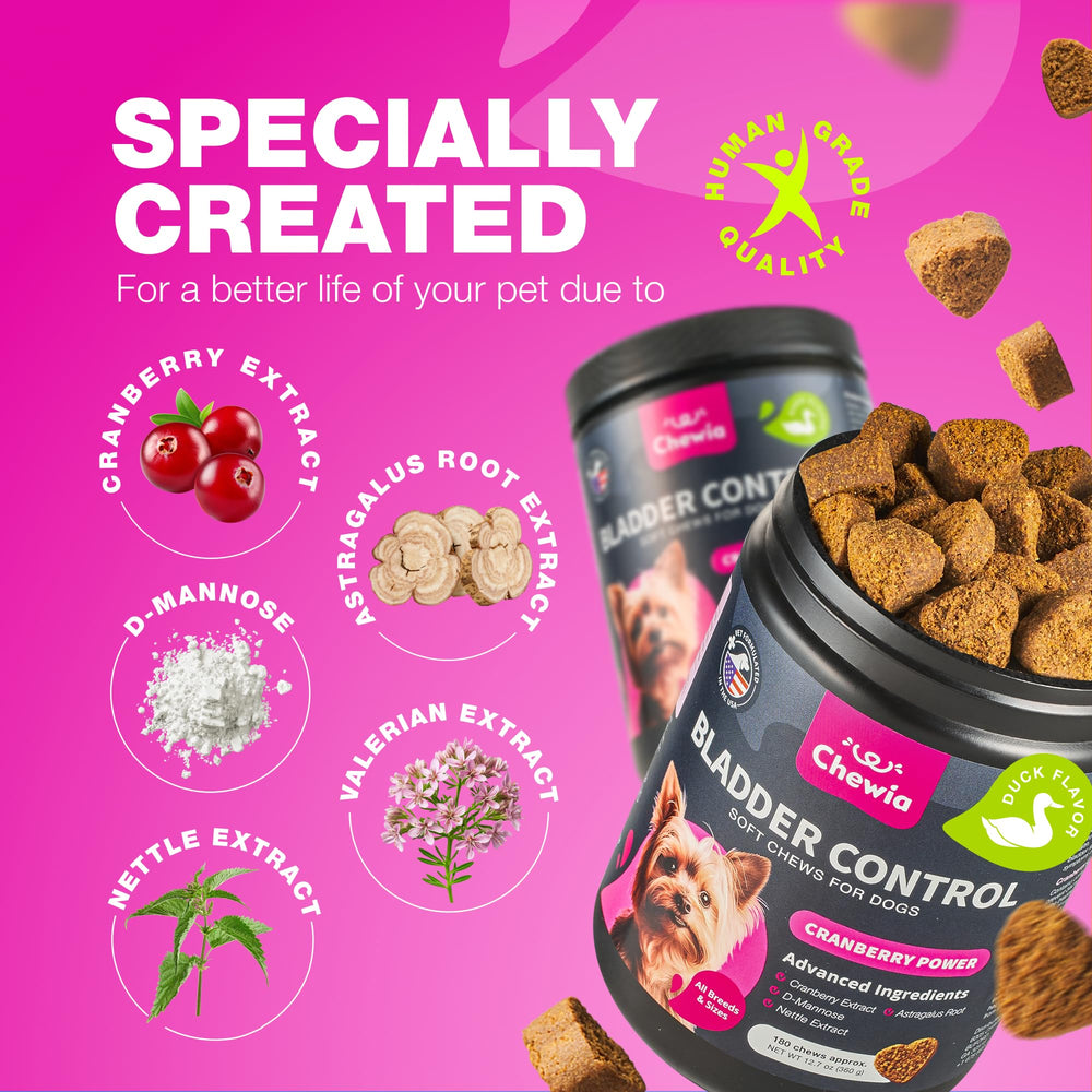 CHEWIA kidney-support chews image highlights supportive ingredients for comfortable urination.