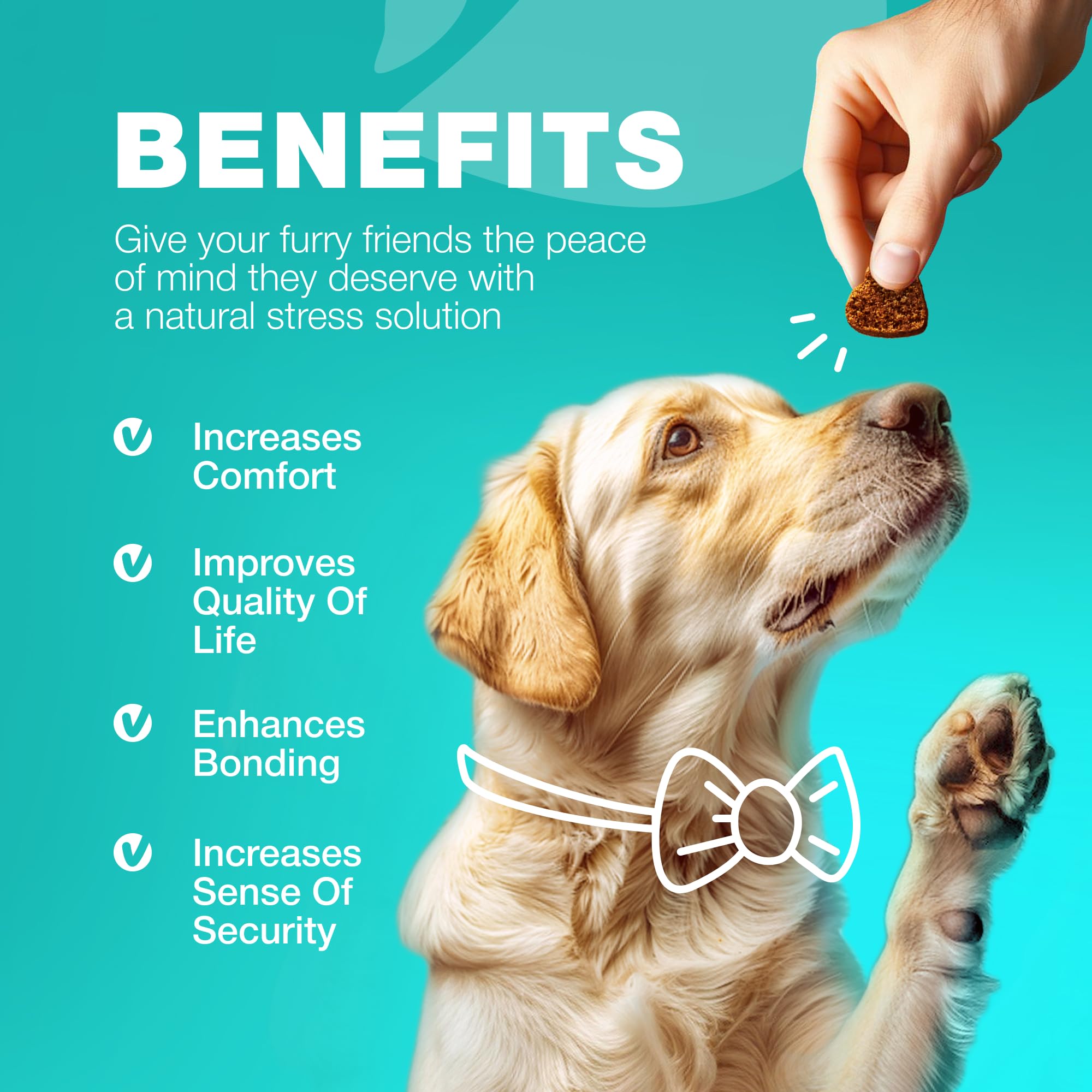 Chewia No Poo Chews dog treat to support immune health and gut balance.