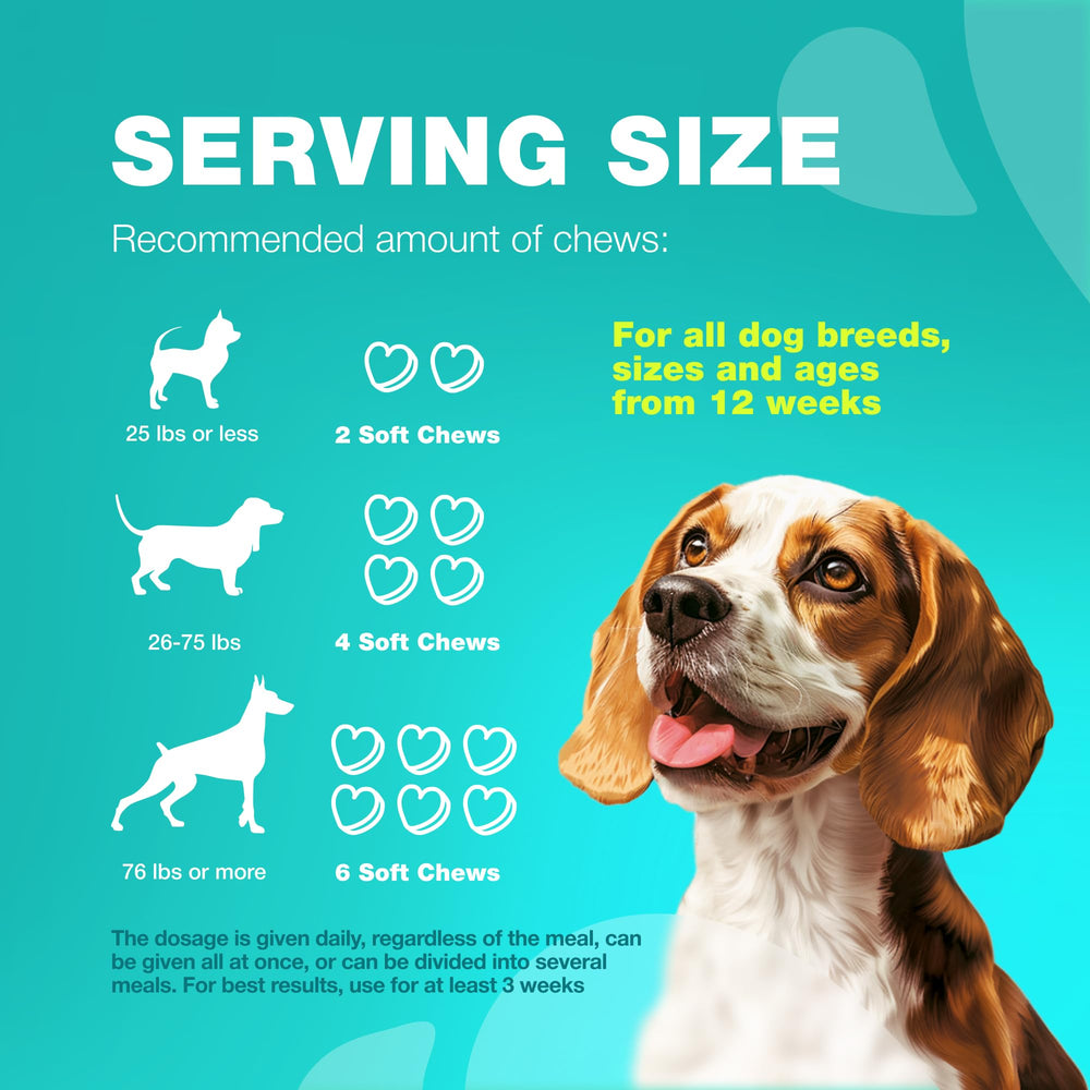Chewia No Poo Chews packaging clearly guides daily dose for consistent routine.