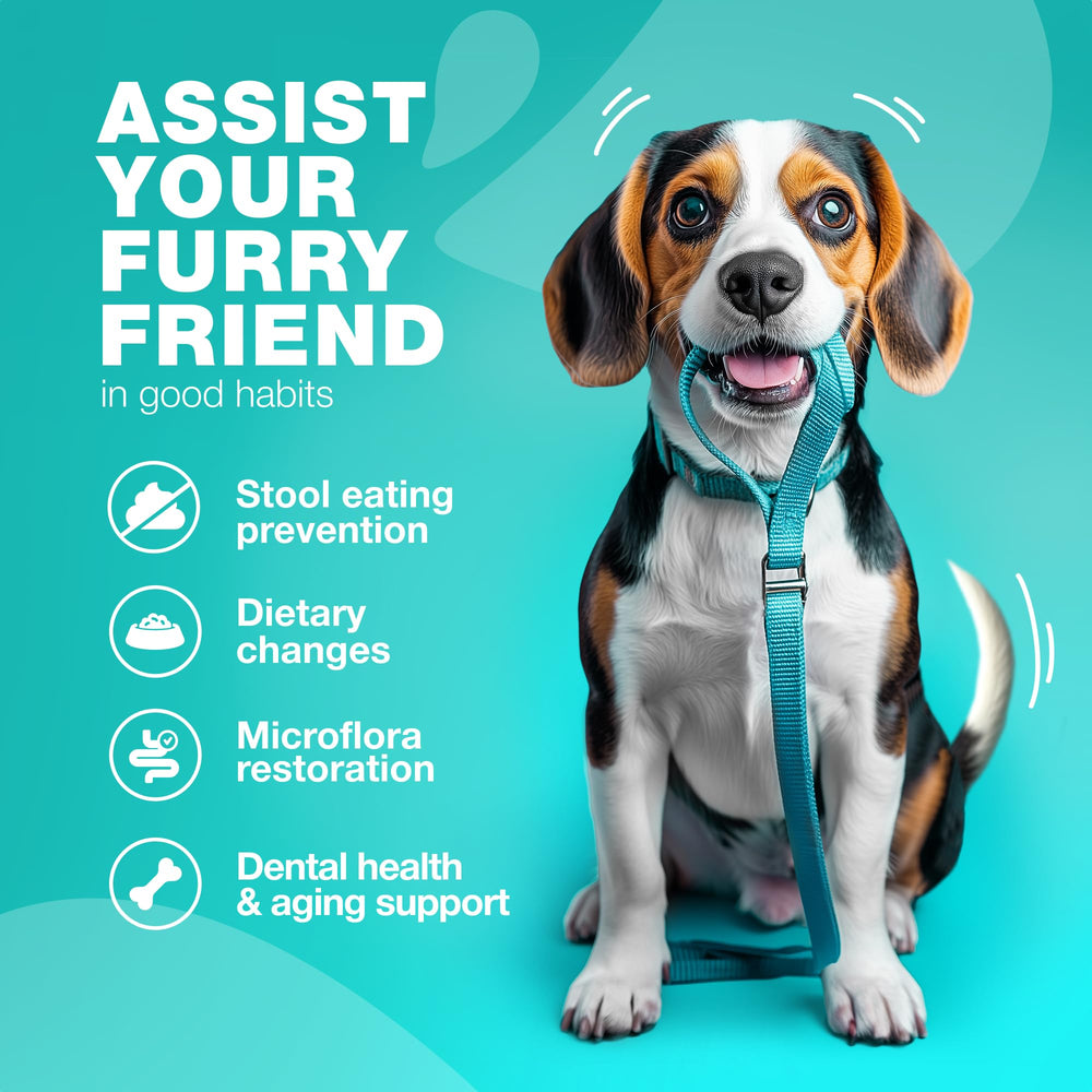 Chewia No Poo Chews probiotic blend image signaling gut microbiome balance.