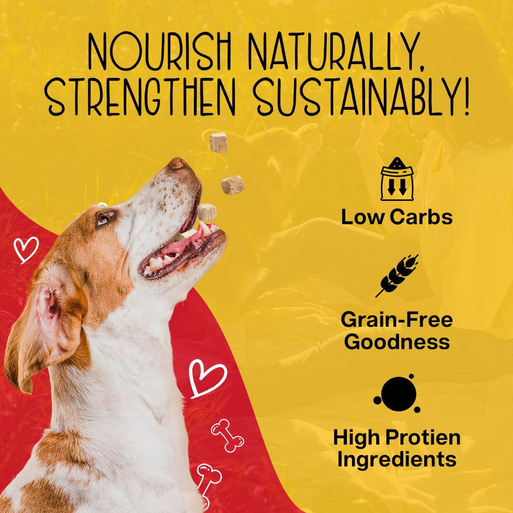 Chewmasters Resealable bag feature, preserves freshness for daily rewards.