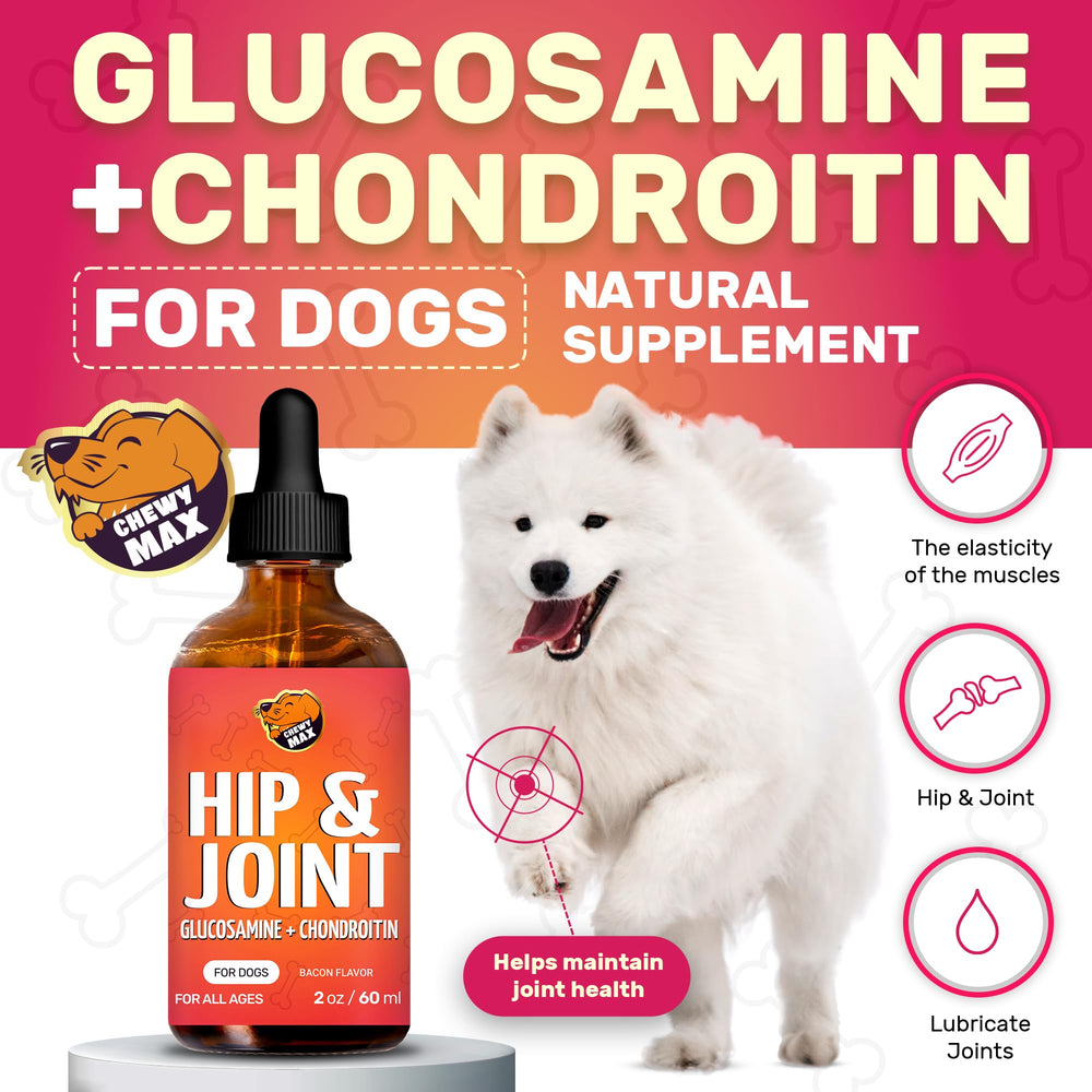 Chewy Max Glucosamine for Dogs aging-support shot demonstrates senior joint care.