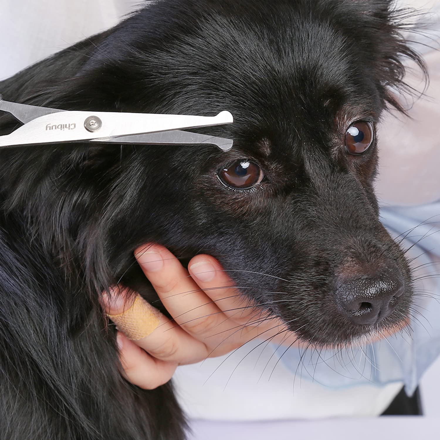 Chi-buy professional grooming tool shown for dogs and cats at home or salon.
