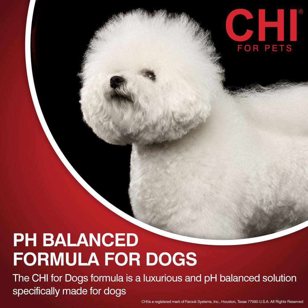 Applying CHI for Dogs Oatmeal Conditioner from ears to tail
