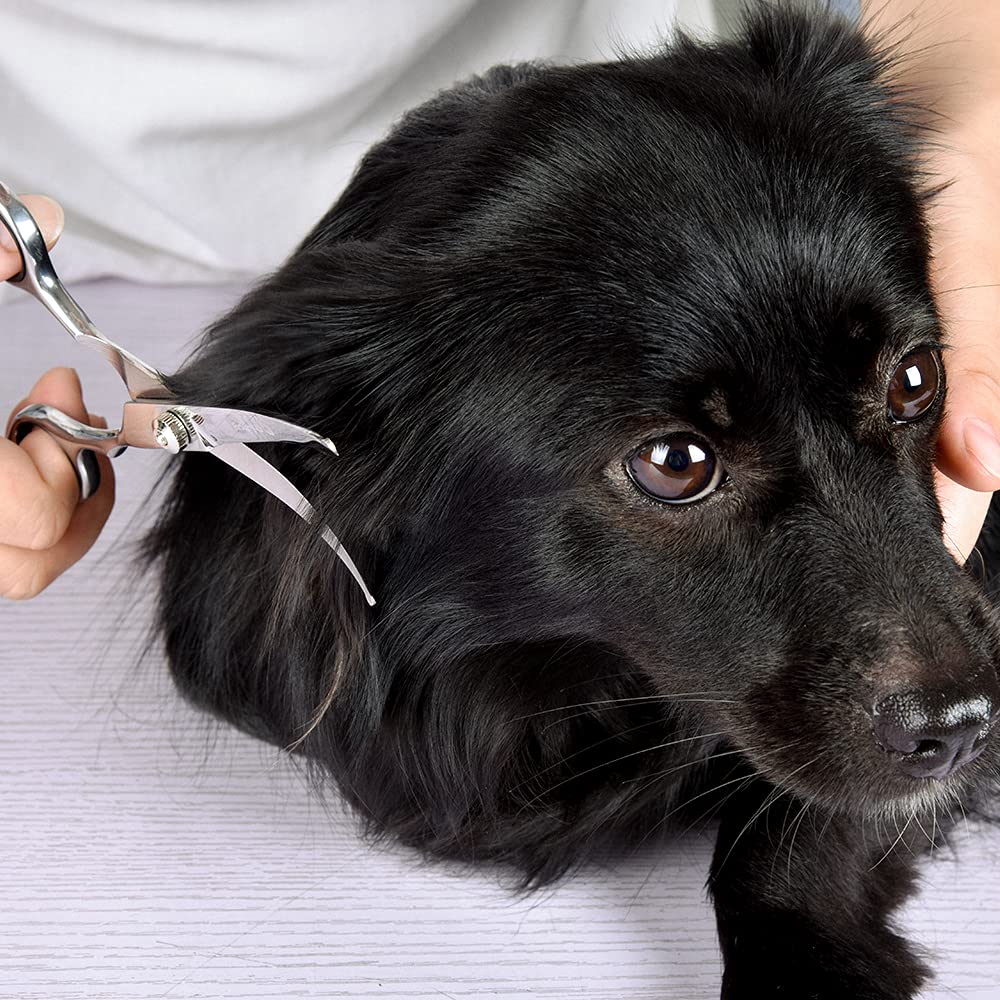 Chibuy professional home-use scissors suitable for cats and dogs grooming.