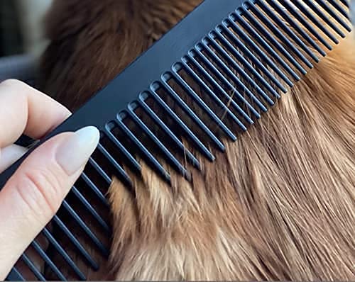 Chicago Comb No. 9 Pet made in USA, showcasing quality craftsmanship