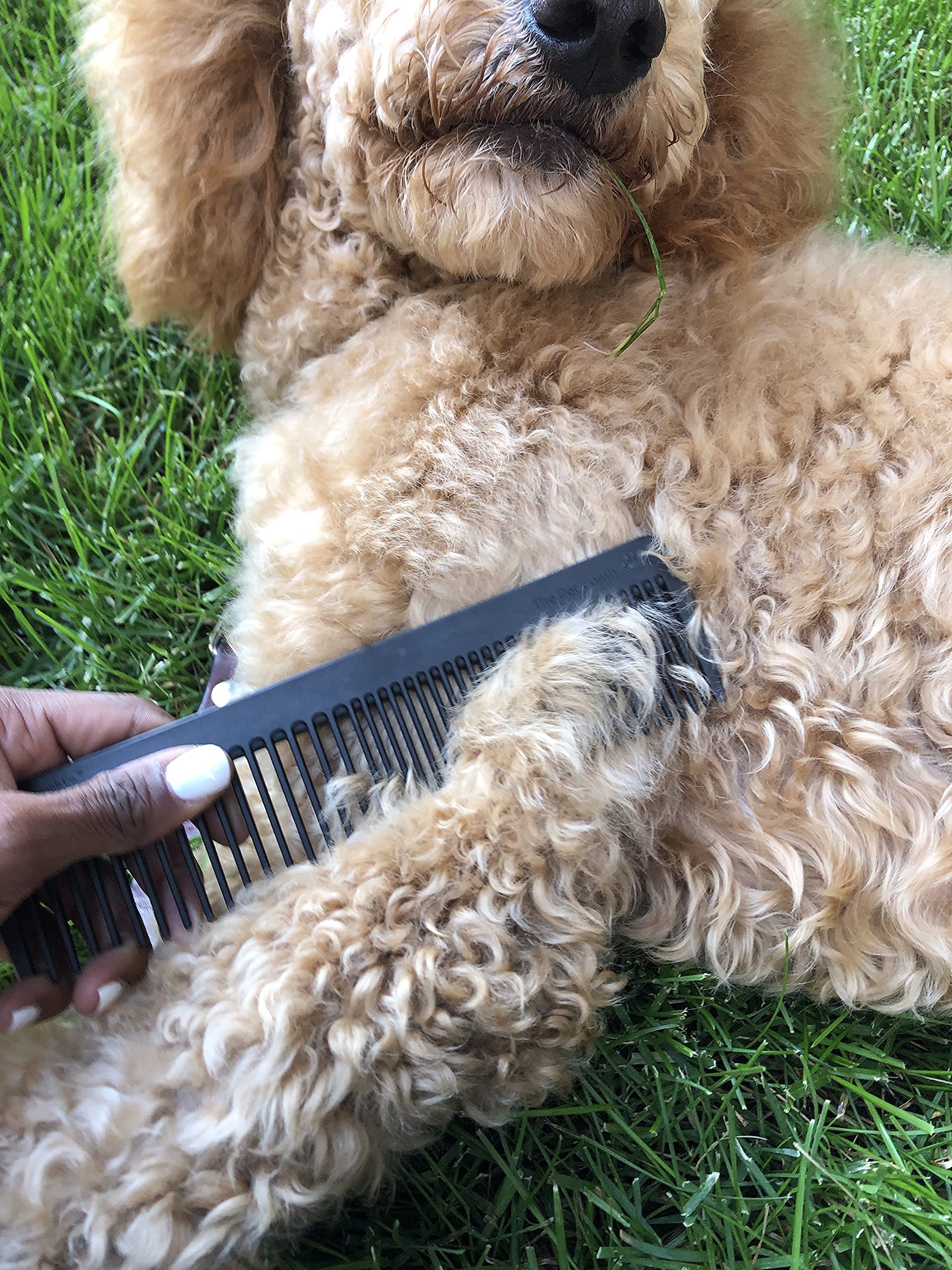 Chicago Comb No. 9 Pet carbon fiber tines: wide and fine for detail