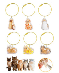 CHICHAUS Cat Hair Holder Keychain clear box showing visible keepsakes