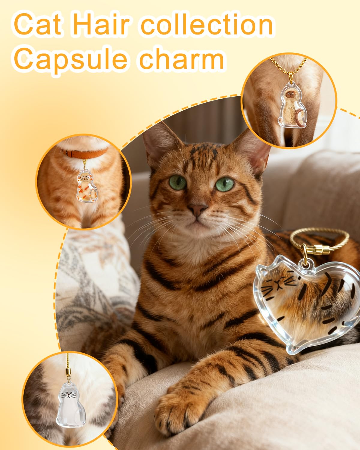 CHICHAUS Cat Hair Storage Bottle airtight seal protecting fur