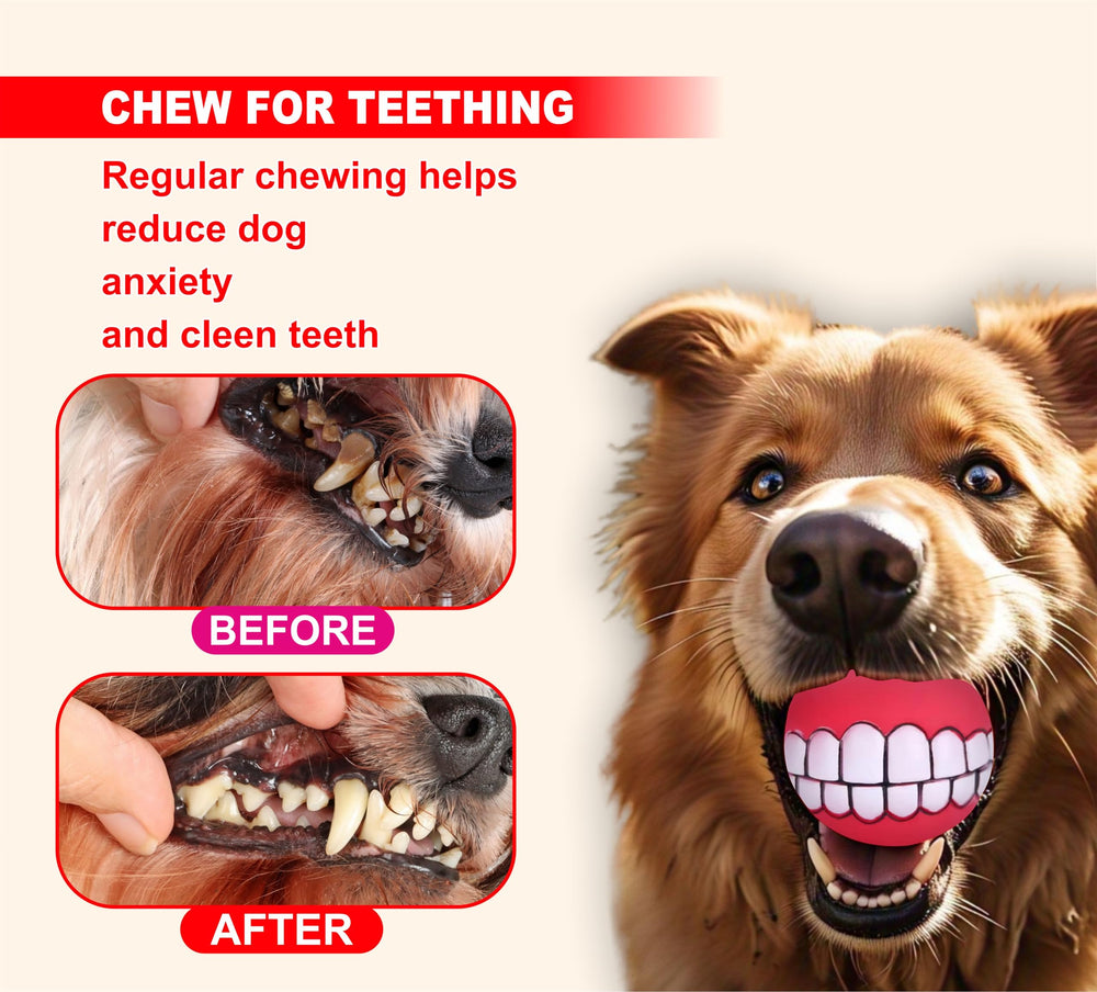 Chickpatti Smile Ball durable rubber for aggressive chewers