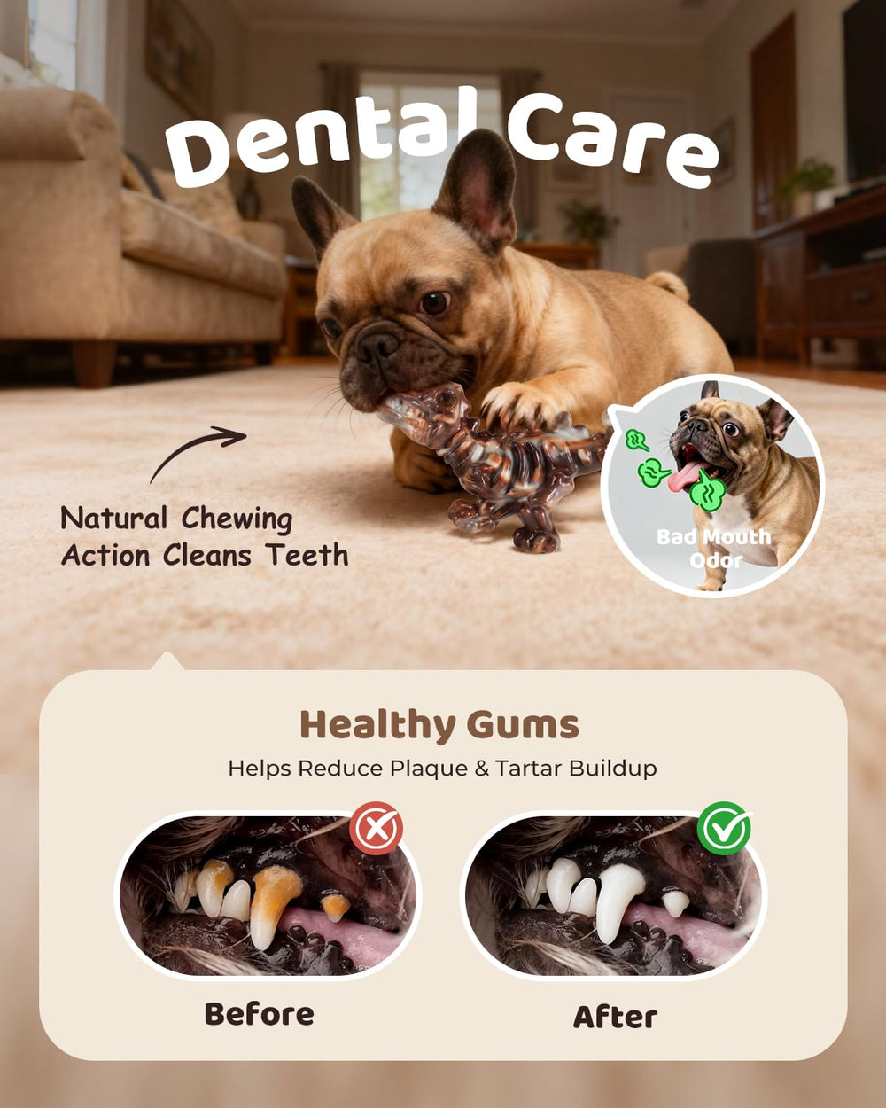 ChienBox dishwasher-safe top rack toy for quick cleaning after play.