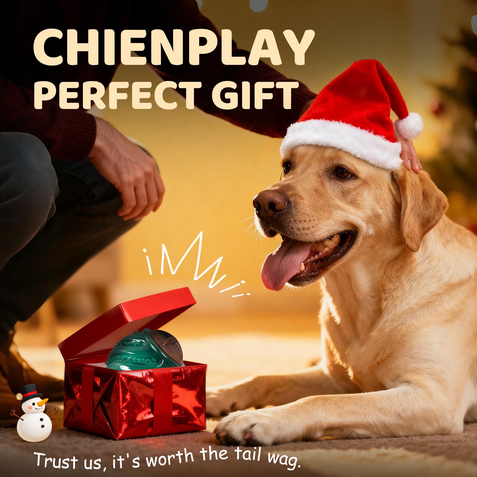 ChienPlay festive gift-ready dog toy for birthdays and holidays.