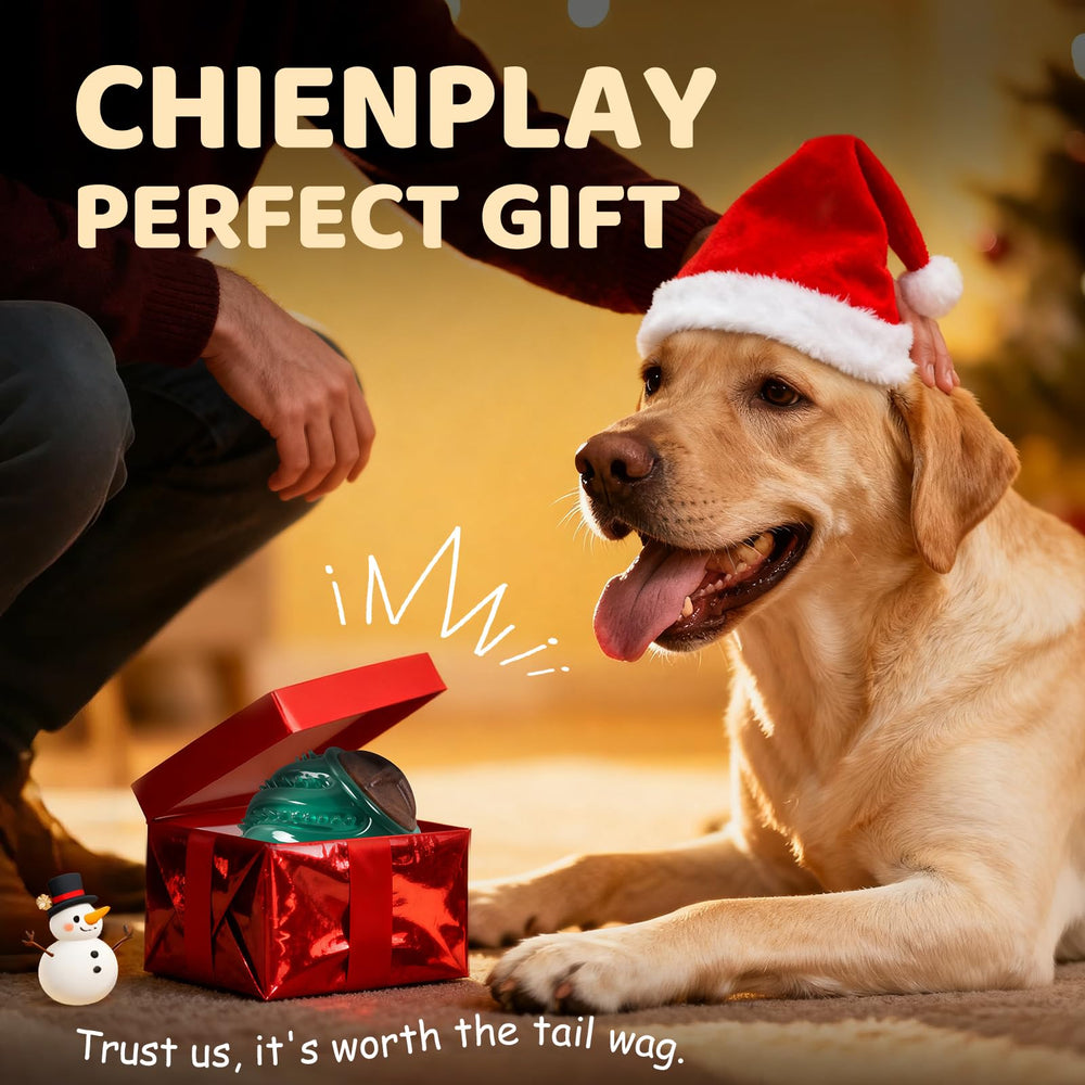 ChienPlay festive gift-ready dog toy for birthdays and holidays.