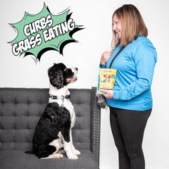 Chippin digestive-support closeup illustrates hypoallergenic oats and guidance for sensitive stomachs