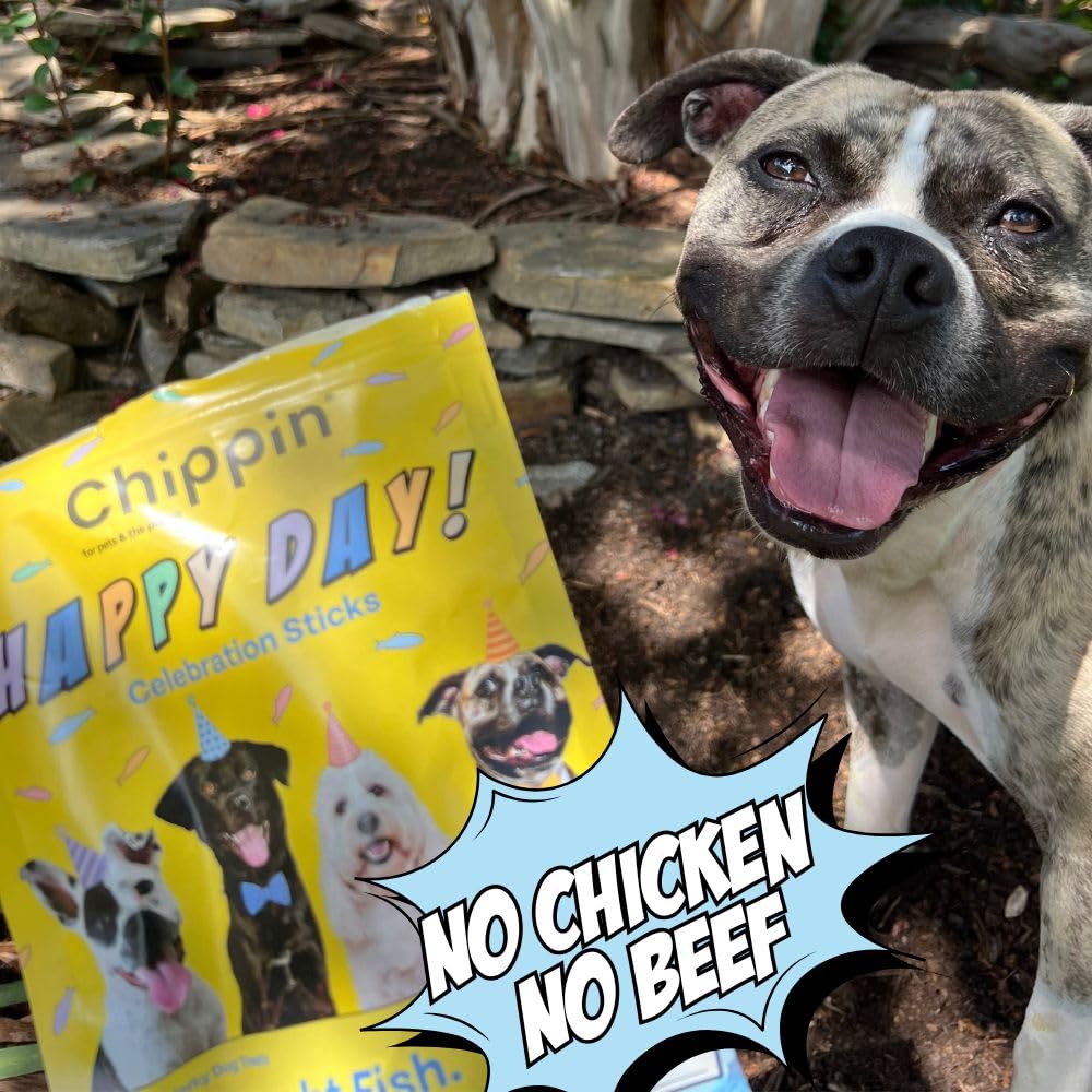 Chippin dog birthday soft treat grain-free formula, gentle on sensitive stomachs.