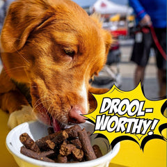 Chippin dog birthday soft treat paw-print container, appealing reward for dogs.