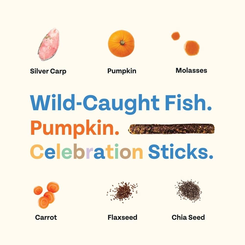 Chippin dog birthday soft treat pumpkin jerky, vibrant texture for rewards.