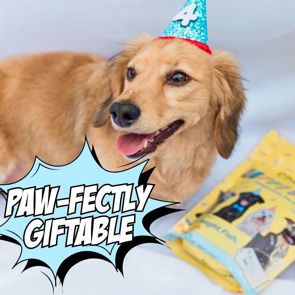 Chippin dog birthday soft treat with wild-caught fish highlight, savory aroma.