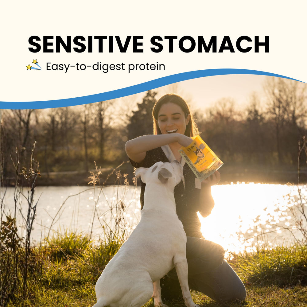 Chippin dog-cat-training-treats-visible-usage shows versatile snack for pets.