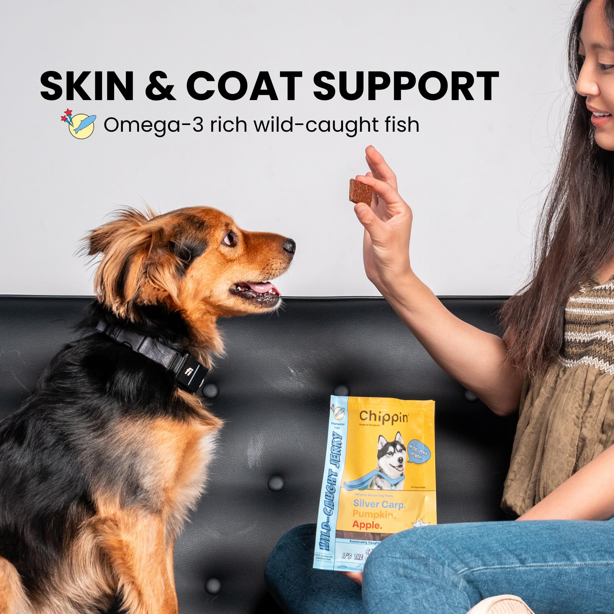 Chippin limited-ingredient-skin-coat-closeup emphasizes omega-3 rich formula for coat health.