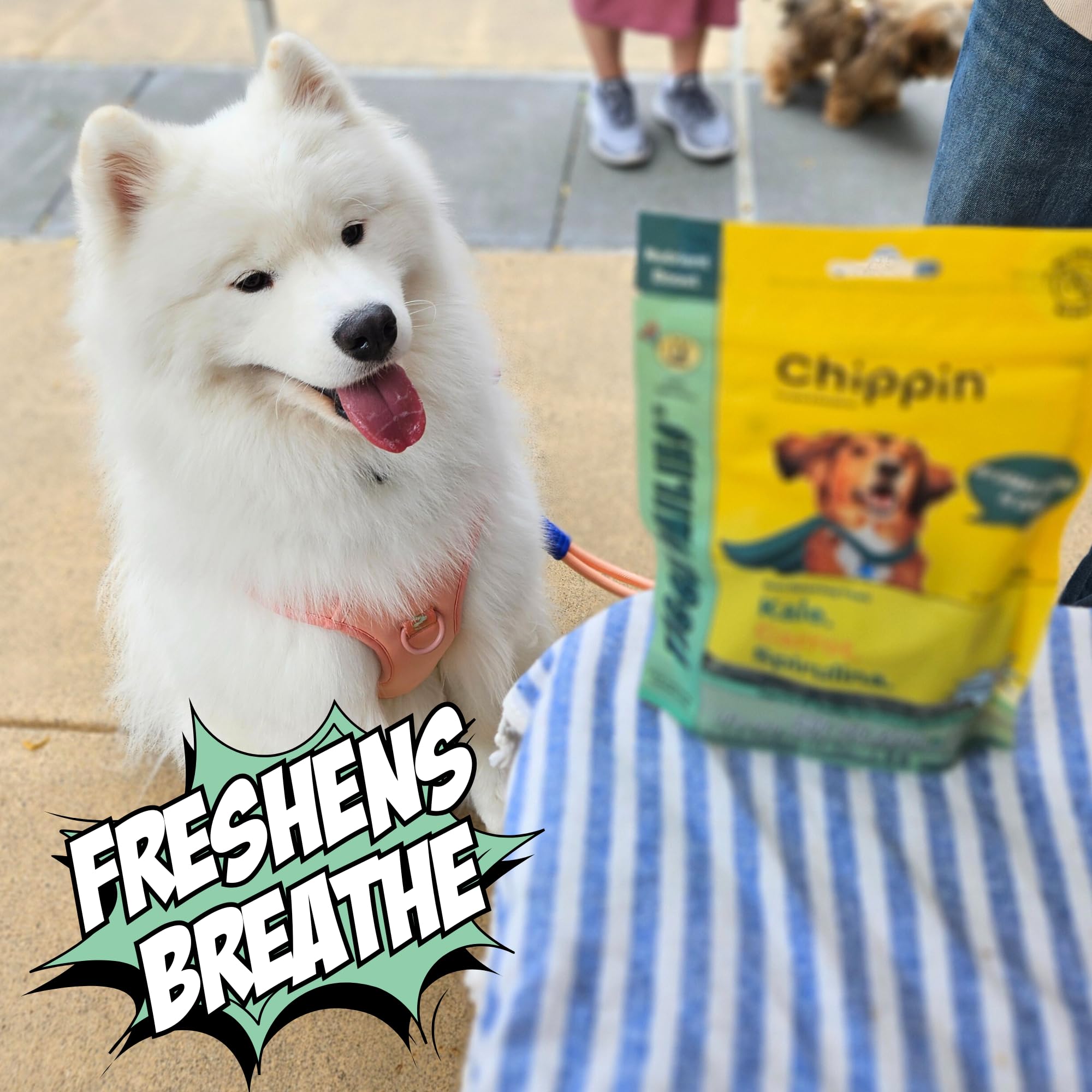 Chippin sustainable-packaging bag photo emphasizes plastic neutral and water-saving production