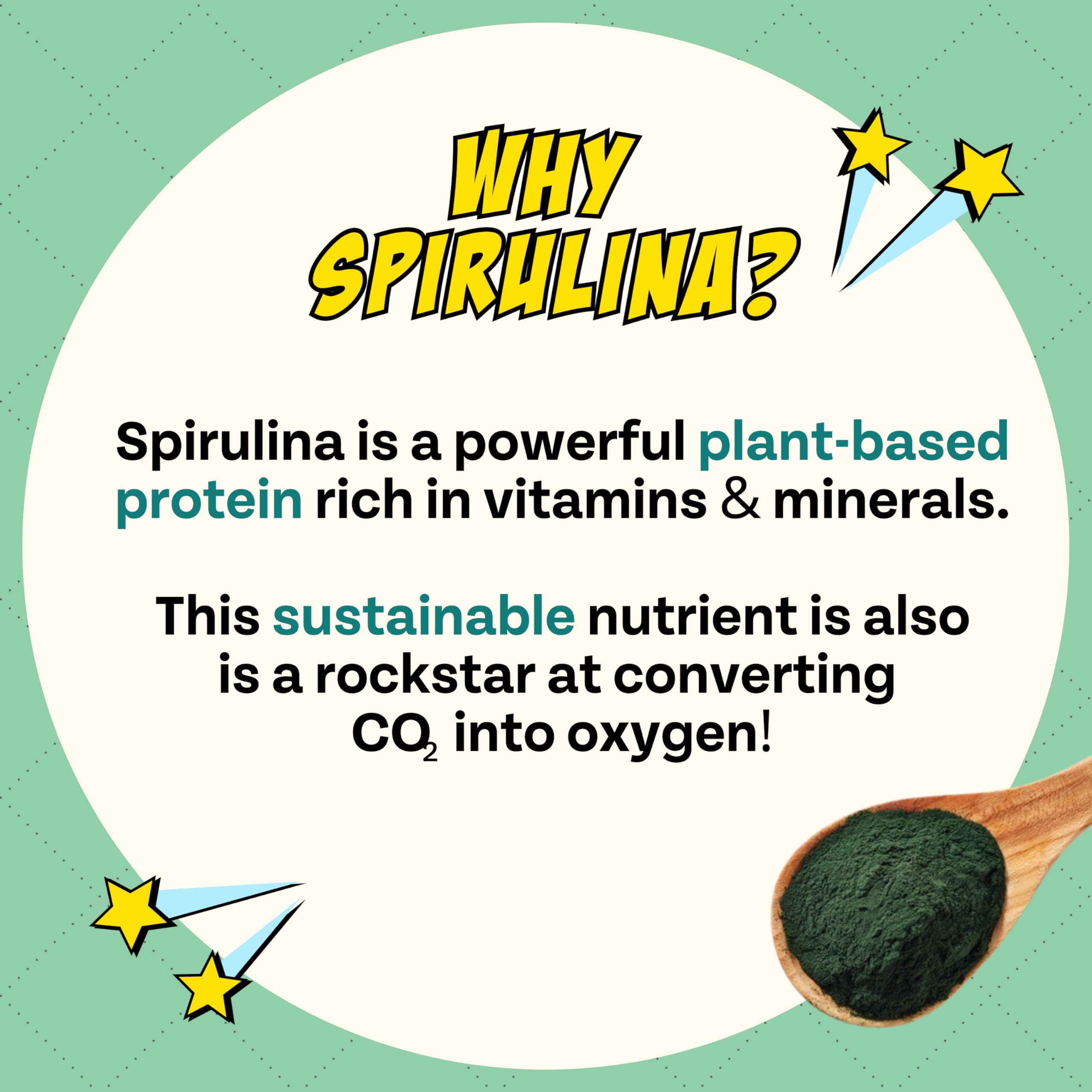 Chippin USA-made veterinary-nutritionists tag photo highlights science-backed nutrition
