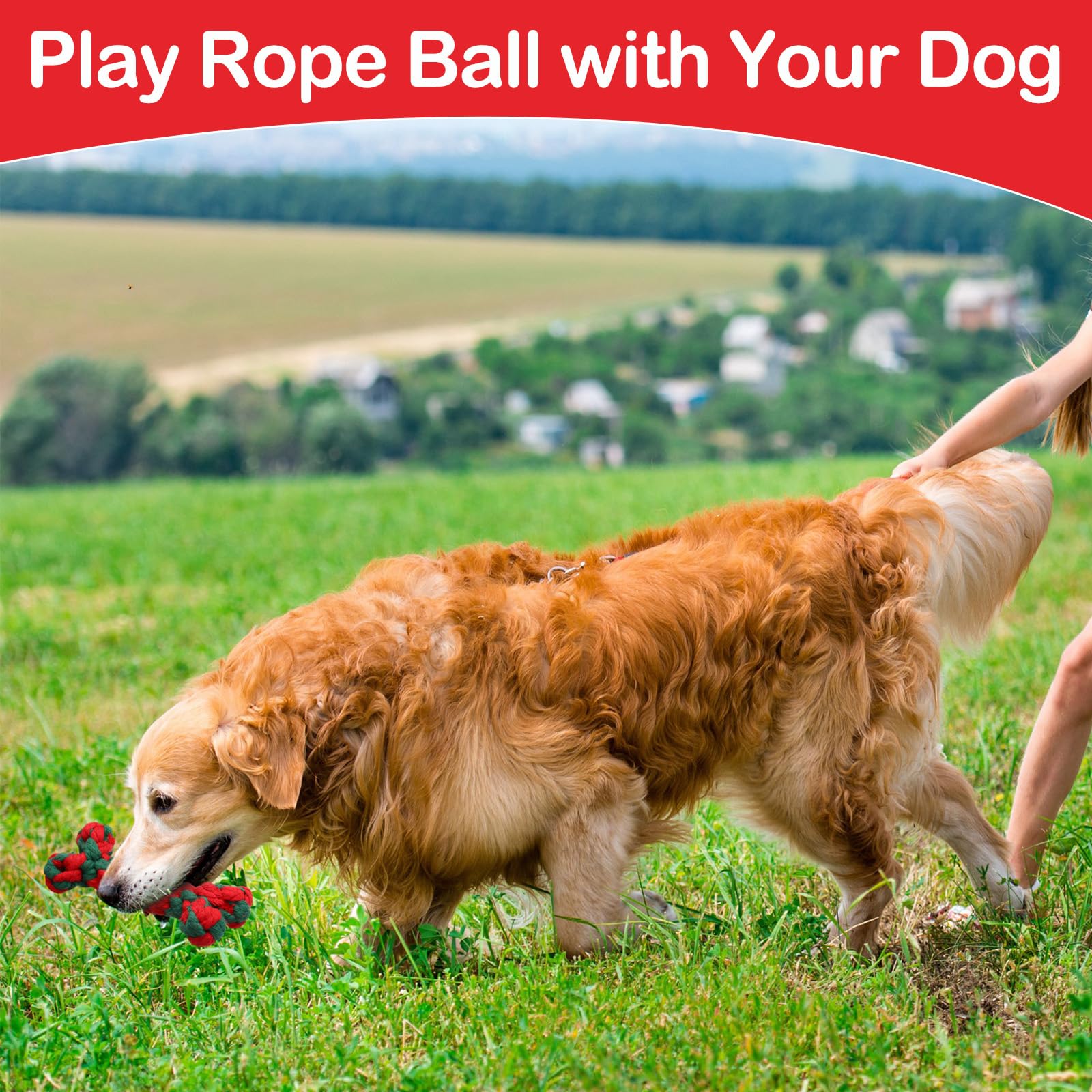 Chitidr outdoor play scene with the set promoting active fetch and chew