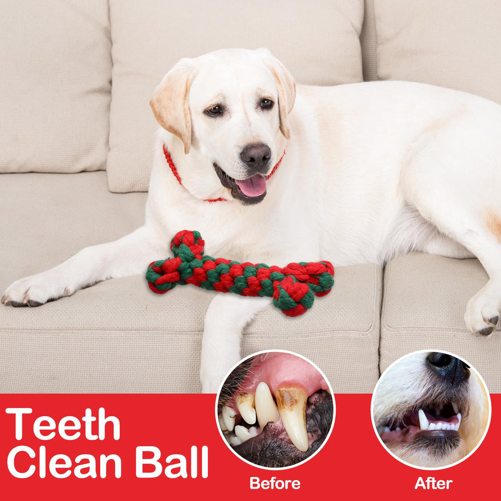 Chitidr multi-color dog toys attracting dogs for engaging indoor/outdoor play