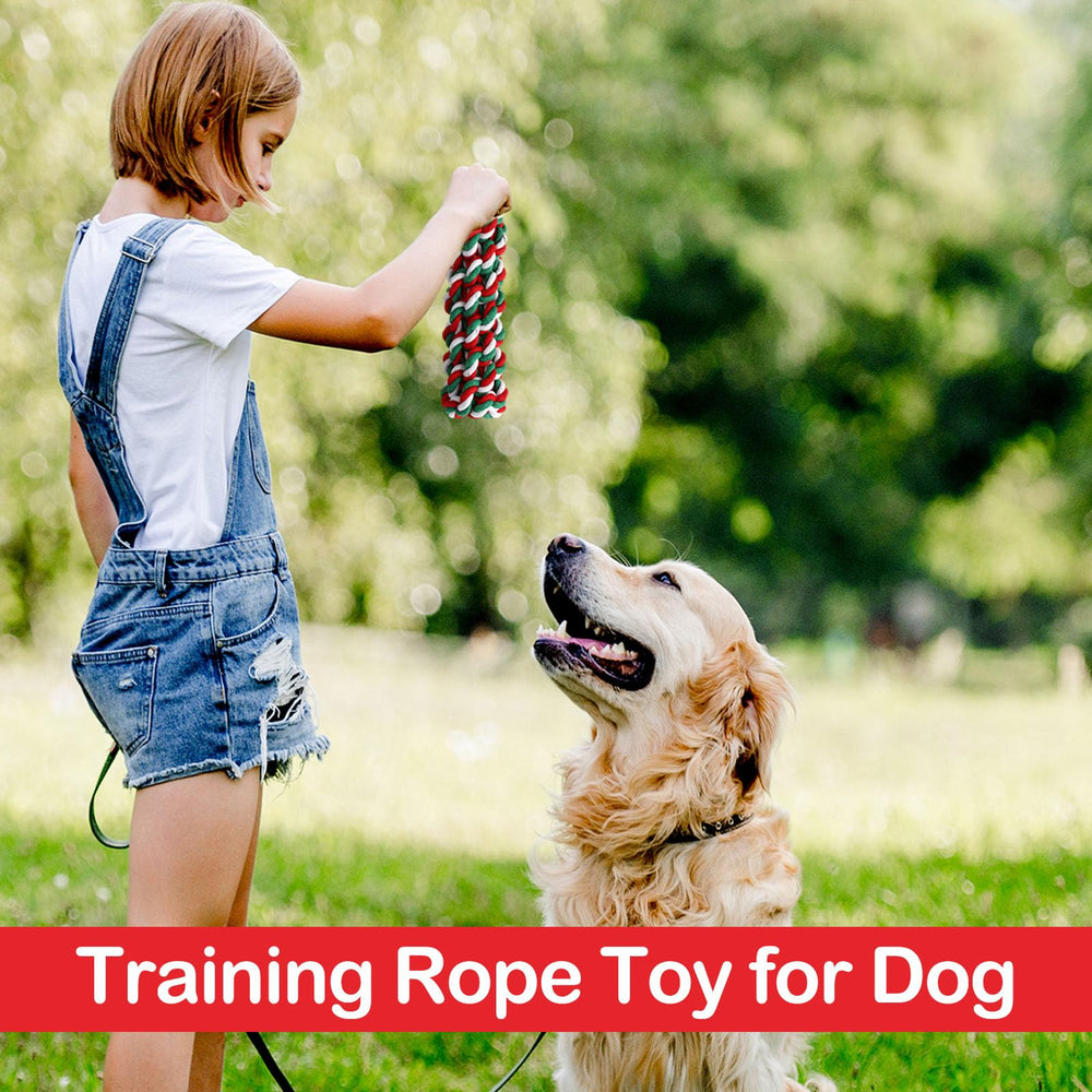 Chitidr 18-piece set shown as a festive gift option for pet owners