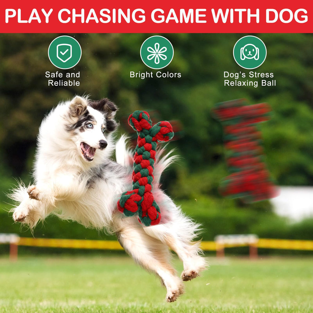 Chitidr teething bone toy highlighting durable chew design for aggressive chewers