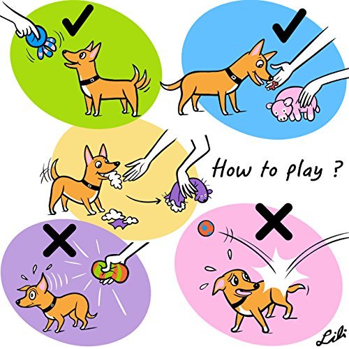 CHIWAVA dog-safe brown bear toy set designed for safe, enjoyable fetch and play.