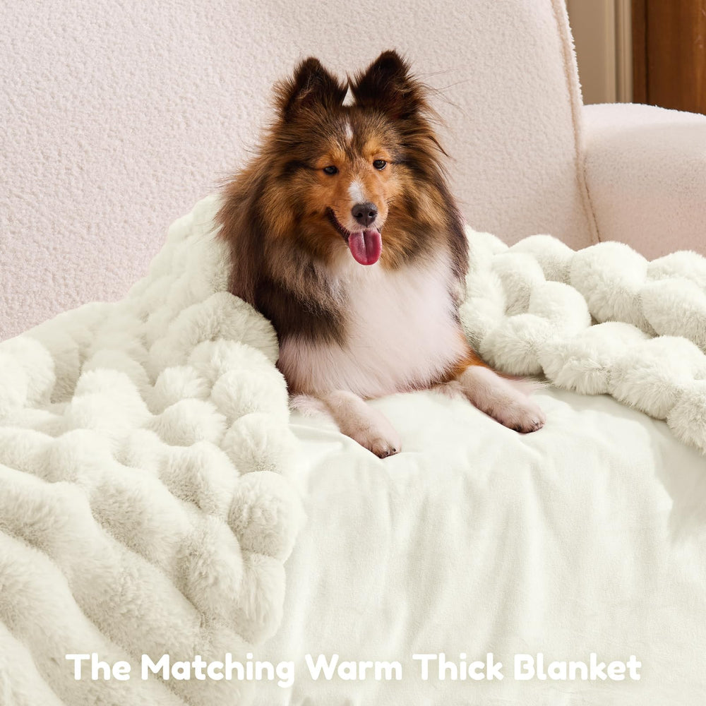 ChiXnuggle 72x40x10 size suits adults and larger pets.