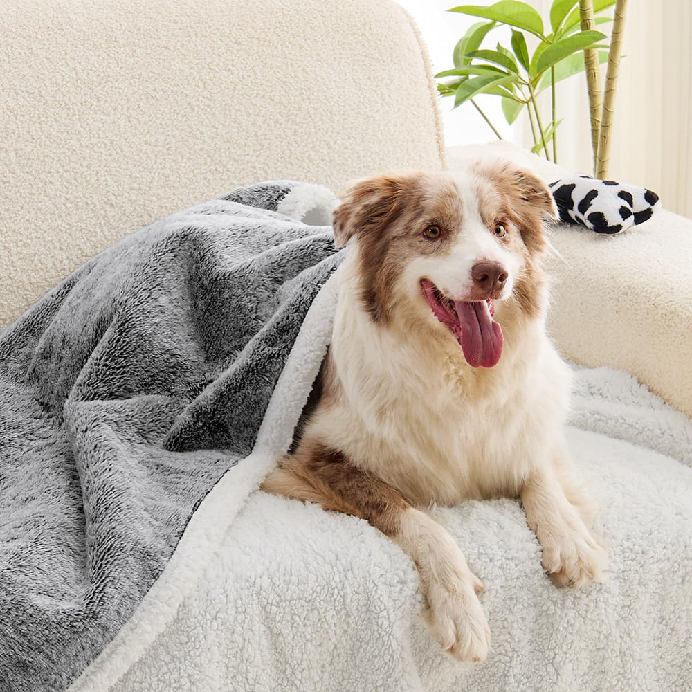 ChiXnuggle reversible faux fur front for cozy snuggling.