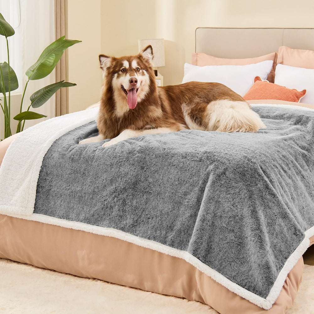ChiXnuggle sherpa back blanket provides warm, cozy naps for your dog.