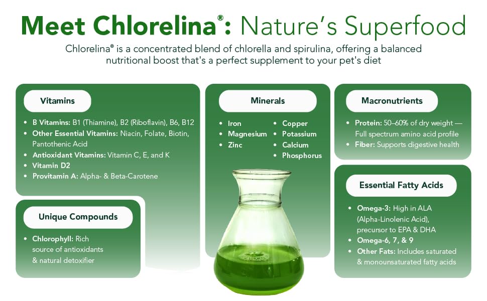 Chlorelina algae supplement pour image — easy dosing for steady energy.
