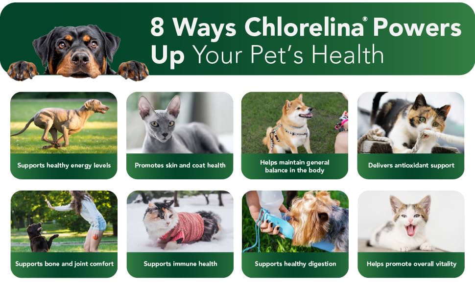 Chlorelina closeup of chlorella and spirulina — vitality for pets.