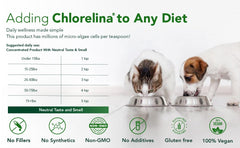Chlorelina dog coat shine photo — potential shedding reduction and healthier fur.