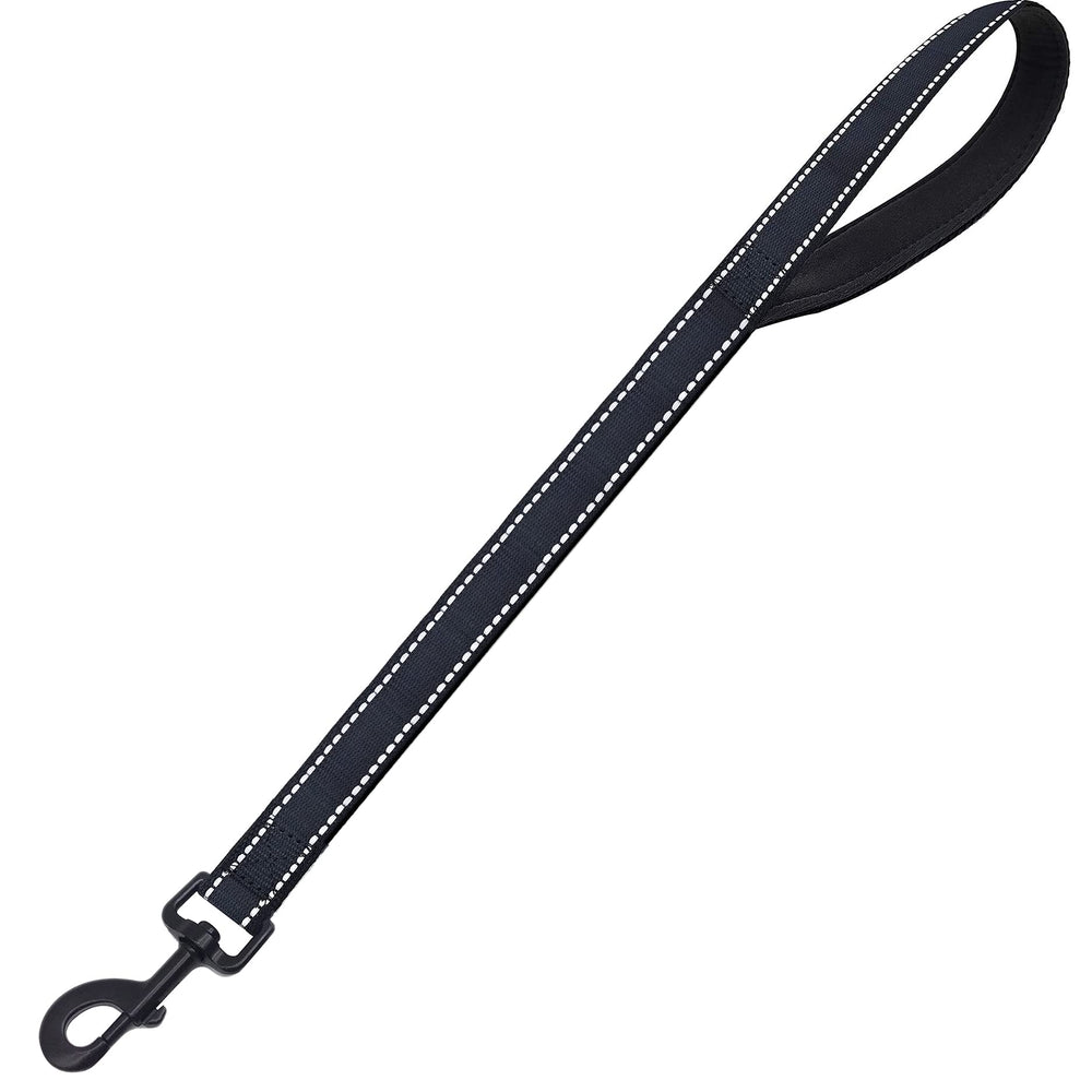 CHMETE heavy-duty dog leash with padded handle provides comfortable control on daily walks.