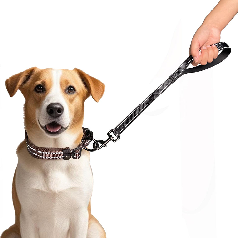 CHMETE short leash with reflective stitching for safer dawn or dusk walks.